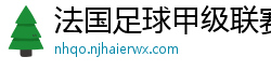 法国足球甲级联赛